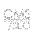 seo, content management systems and e-commerce website design